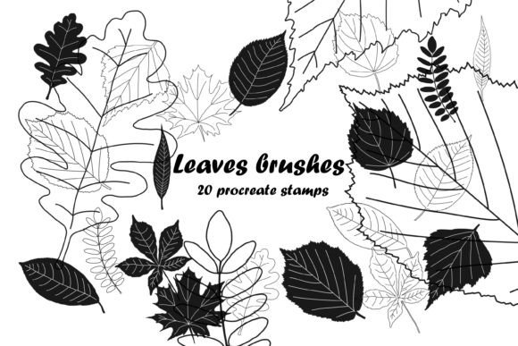 Download Leaves Brushes Stamp for Procreate - Leaves Collection