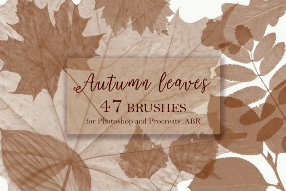 Download Autumn Leaves. Brushes for Photoshop and - Leaves Collection