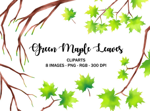 Download Green Maple Leaves Tree Illustrations - Leaves Collection