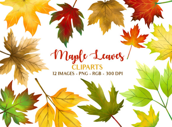Download Maple Leaves Fall Season Illustrations - Leaves Collection