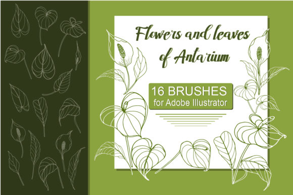 Download Antarium Flowers and Leaves Brushes - Leaves Collection