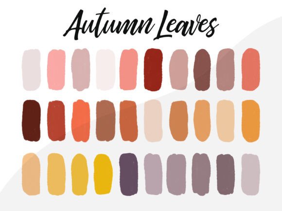Download Autumn Leaves Procreate Color Palette - Leaves Collection